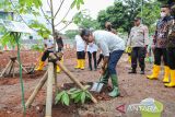 Heru hijaukan lahan aset daerah dan ruang publik di Jakarta