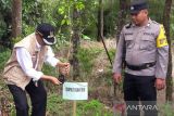 Pemkab  Temanggung tanam 1.500 bibit pohon di lereng Sindoro