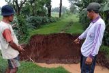 BPBD Kabupaten Kediri data tanggul jebol di Tarokan
