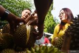 Pedagang buah durian melayani pembeli di area pasar musiman di Pagotan, Kabupaten Madiun, Jawa Timur, Minggu (29/1/2023). Sejumlah pedagang musiman memanfaatkan areal tersebut untuk menawarkan durian hasil produksi petani lereng Gunung Wilis dengan harga Rp25 ribu-Rp200 ribu per buah. Antara Jatim/Siswowidodo/zk