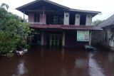 Intensitas hujan di Sambas tinggi akibatkan sejumlah desa banjir