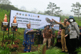 Direktur Konservasi Keanekaragaman Hayati, Spesies dan Genetik Kementerian Lingkungan Hidup dan Kehutanan Indra Exploitasia (kanan depan) bersama Direktur Taman Safari Indonesia Jansen Manansang (tengah) dan Plt Bupati Bogor Iwan Setiawan (kiri depan) bersiap melakukan pelepasliaran burung Elang Jawa (Nisaetus bartelsi) di kaki Gunung Gede Pangrango, Taman Safari Indonesia, Cisarua, Kabupaten Bogor, Jawa Barat, Senin (30/1/2023). Taman Safari Indonesia bekerja sama dengan Pusat Suaka Satwa Elang Jawa, Balai Taman Nasional Gunung Halimun Salak, Balai Taman Nasional Gunung Gede Pangrango, Balai Besar Konservasi Sumber Daya Alam dan PT Smelting melakukan pelepasliaran dua ekor burung Elang Jawa (Nisaetus bartelsi) dengan jenis kelamin jantan bernama Parama dan jenis kelamin betina bernama Jelita yang bertujuan mengembalikan peran dan fungsi ekologis serta biologis satwa yang dilepasliarkan ke habitat alaminya. ANTARA FOTO/Arif Firmansyah/aww.