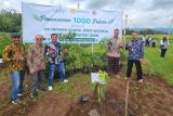 PGN tanam 1.000 bibit pohon dalam peresmian Agrowisata Kulonprogo