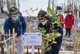 Ekosistem lahan basah punya peran penting memitigasi perubahan iklim