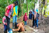 DPRD Kulon Progo meninjau saluran air rusak ganggu pengairan sawah