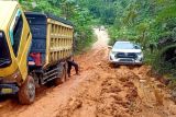 Pemkab Barito Utara tangani jalan rusak menuju Desa Liju
