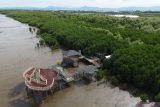 Mangrove simpan potensi karbon biru untuk mengurangi emisi