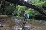 Seorang warga menyeberangi sungai untuk menuju dusun Kandihin di Desa Halunuk, Kabupaten Hulu Sungai Selatan, Kalimantan Selatan, Minggu (5/2/2023). Menurut warga setempat, jembatan gantung yang merupakan akses utama penghubung antardesa itu kondisinya telah rusak sejak tujuh tahun silam dan membahayakan bagi yang melintas. ANTARA/Bayu Pratama S.