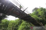 Seorang warga meniti jembatan gantung yang rusak di Desa Halunuk, Kabupaten Hulu Sungai Selatan, Kalimantan Selatan, Minggu (5/2/2023). Menurut warga setempat, jembatan gantung yang merupakan akses utama penghubung antardesa itu kondisinya telah rusak sejak tujuh tahun silam dan membahayakan bagi yang melintas. ANTARA/Bayu Pratama S.