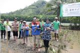 Hijaukan Pulau Momongan, Kilang Cilacap tanam 2.023 bibit mangrove