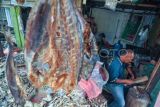 Pedagang memotong ikan asin menjadi bagian-bagian kecil di Kecamatan Teluk Segara, Kota Bengkulu, Provinsi Bengkulu, Minggu (12/02/2023). Pedagang ikan asin di wilayah tersebut mengaku mengalami kesulitan bahan baku akibat penurunan hasil tangkapan nelayan karena terganggu cuaca buruk yang disertai badai dalam sepekan terakhir. ANTARA FOTO/Muhammad Izfaldi/Lmo/nz