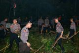 Samapta Polda Sulut evakuasi pohon tumbang di Jalan Lumimuut Manado