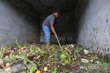 Pekerja mengumpulkan sampah organik rumah tangga dan restoran untuk diolah menjadi pupuk kompos di Tempat Pembuangan Akhir (TPA) Dinas Lingkungan Hidup, Kebersihan dan Keindahan, Banda Aceh, Aceh, Selasa (14/2/2023). Antara Aceh/Khalis Surry