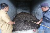 Pekerja mengumpulkan sampah organik rumah tangga dan restoran untuk diolah menjadi pupuk kompos di Tempat Pembuangan Akhir (TPA) Dinas Lingkungan Hidup, Kebersihan dan Keindahan, Banda Aceh, Aceh, Selasa (14/2/2023). Antara Aceh/Khalis Surry