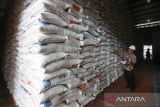 Petugas Badan Urusan Logistik (Bulog) Divisi Regional Aceh memeriksa persediaan beras di Gudang Bulog Aceh, Lambaro, Aceh Besar, Aceh, Kamis (16/2/2023). Antara Aceh/Khalis Surry