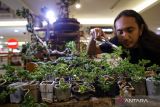 Perajin melakukan perawatan bonsai shito (bonsai mini) di Surabaya, Jawa Timur, Jumat (17/2/2023). Bonsai mini dengan ukuran 2-10 cm yang dijual dengan harga Rp50 ribu hingga Rp2.5 juta per tanaman tersebut mengalami peningkatan penjualan hingga 40 persen yakni kisaran 6 pohon menjadi 8 pohon per bulan dan berharap kepada pemerintah agar ke depan mendapat pelatihan terkait ekspor karena banyaknya tawaran pembelian dari luar negeri namun terkendala pengiriman dan perizinan. ANTARA Jatim/Rizal Hanafi/Zk