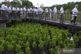 Delegasi World Water Council (WWC) mengunjungi kawasan Taman Hutan Raya Ngurah Rai, Denpasar, Bali, Jumat (17/2/2023). Rombongan WWC yang berjumlah 56 orang dari berbagai negara tersebut berkunjung untuk melihat langsung kawasan budi daya mangrove yang jadi 