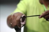 Kemenkes penuhi kebutuhan antivenom menuju RS provinsi
