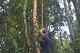 WWF Papua berharap ada integrasi program pengembangan ekowisata alam pengembangan wisata berbasis lingkungan