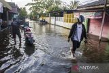 Seorang warga berjalan melintasi banjir di Banjarmasin, Kalimantan Selatan, Minggu (19/2/2023). Berdasarkan prakiraan Badan Meteorologi, Klimatologi dan Geofisika (BMKG) Kalimantan Selatan dengan adanya fenomena fase bulan baru, mengakibatkan sejumlah wilayah di Kota Banjarmasin, terutama di daerah bantaran sungai, terdampak air pasang laut atau banjir rob yang akan berlangsung dari 18- 24 Februari. ANTARA/ Bayu Pratama S.