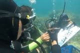 Dosen Biologi Itera penelitian konservasi terumbu karang pesisir Teluk Lampung