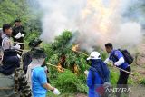 Personil gabungan Badan Narkotika Nasional (BNN) provinsi Aceh bersama  TNI dan Polri  membakar  tanaman ganja untuk dimusnahkan di kawasan pegunungan Indrapuri, Kabupaten Aceh Besar, Aceh, Rabu (22/2/2023). Dalam operasi tersebut, BNN provisi Aceh memusnahkan seluas 2,5 hektare tanaman ganja siap panen berumur sekitar dua bulan dengan jumlah sekitar 18.000 batang dengan cara dibakar, sedangkan pemilik tanaman ganja tersebut tidak berhasil ditangkap. ANTARA FOTO/Ampelsa.