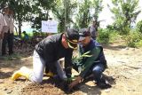 Sigi manfaakaan bambu sebagai bronjong penahan banjir