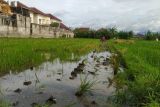 Pemkot Mataram usul pemanfaatan LP2B lebih luas untuk penuhi kekurangan rumah