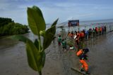 Tanam mangrove HUT ke-51 Basarnas di Makassar