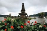 Bali menjadi destinsi favorit keluarga Indonesia untuk berlibur