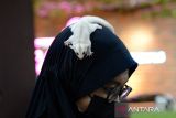 Pengunjung menempatkan seekor Sugar Glider berada di kepalanya saat berlangsung  Aceh Pets Festival-2  di Banda Aceh, Aceh, Jumat (25/2/2023). Aceh Pets Festival  diikuti sejumlah peserta menampilkan beberapa jenis reptil,  kucing dan sugar glider yang berlangsung hingga 26 Fabruari 2023 itu bertujuan memberikan edukasi dan sosialisasi  kepada pengunjung  terhadap hak perlidungan bagi binatang. ANTARA FOTO/Ampelsa.