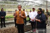 Lomba logo IKN berhadiah motor listrik, Presiden Jokowi ajak partisipasi publik