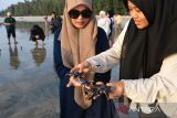 Pengunjung melepaskan  tukik belimbing (Dermochelys coriacea) di perarian pantai wisata, Lhoknga, kabupaten Aceh Besar, Aceh, Sabtu (25/2/2023). Yayasan Seulanga Aceh bersama pengunjung dan anak anak melepaskan sebanyak 75 ekor tukik belimbing dalam rangka menjaga kelestarian biota laut yang dilindungi khususnya penyu dari ancaman kepunahan. ANTARA FOTO/Ampelsa.