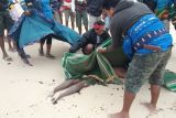 Warga Sumba Barat hilang saat pancing ikan ditemukan meninggal