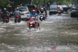 Pengendara motor menerobos genangan banjir di Indramayu, Jawa Barat, Senin (27/2/2023). Banjir yang merendam sejumlah kawasan tersebut akibat hujan deras yang mengguyur sejak tiga hari terakhir. ANTARA FOTO/Dedhez Anggara/agr