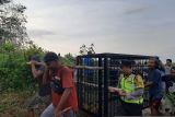 Polisi dan BKSDA pasang perangkap beruang yang serang warga Muaro Jambi