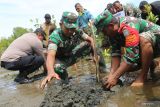 Prajurit TNI Kodim/0105 Aceh Barat bersama warga membawa pohon mangrove untuk ditanam di kawasan pesisir pantai Desa Suak Timah, Samatiga, Aceh Barat, Aceh, Selasa (28/2/2023). Aksi menanam 5.000 batang pohon mangrove tersebut sebagai upaya menciptakan ekosistem baru yang dapat memberikan manfaat bagi keseimbangan lingkungan hidup serta untuk mencegah dan mengurangi dampak abrasi pantai serta banjir rob di kawasan itu. Antara Aceh /Syifa Yulinnas