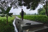 Pemkot Mataram akan membangun Agrowisata 