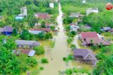 Legislator Kapuas minta pemerintah lakukan kajian terkait banjir