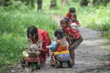 Anak-anak Orang Rimba dari kelompok Temenggung Minan bermain di areal perkebunan yang menjadi tempat bermukim sementaranya di Merangin, Jambi, Selasa (28/2/2023). Orang Rimba setempat yang hidup menumpang di perkebunan kelapa sawit warga mengaku kesulitan memenuhi kebutuhan pangan keluarga dan pendidikan anak karena hutan yang dulunya menjadi ruang hidup mereka telah beralih fungsi menjadi perkebunan. ANTARA FOTO/Wahdi Septiawan/rwa.