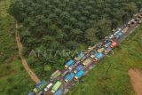 Foto udara antrean kendaraan yang didominasi truk bermuatan batu bara saat terjebak kemacetan di Jalan Lintas Sarolangun-Muara Tembesi, Batanghari, Jambi, Rabu (1/3/2023). Ribuan kendaraan terjebak macet parah hingga 20 jam karena truk bermuatan batu bara masih diizinkan melewati jalan nasional setempat. ANTARA FOTO/Wahdi Septiawan/aww.