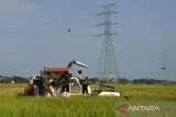 Petani memanen padi menggunakan mesin pemotong padi modern di desa Kayee Lee, Kecamatan Ingin Jaya , kabupaten Aceh Besar, Aceh, Sabtu (4/3/2023). Memasuki awal musim panen raya di daerah itu, harga gabah kering panen (GKP)  di tingkat petani mengalami penurunan kisaran Rp5.300 per kilogram dari harga sebelumnya mencapai Rp6.000 per kilogram. ANTARA FOTO/Ampelsa.