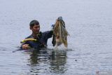 Warga mengangkat sampah dari dalam laut Pantai Kuta Timu, Kota Sabang, Aceh, Sabtu (4/3/2023). Antara Aceh/Khalis Surry