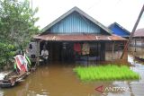 Seorang warga berada di depan rumahnya yang terendam banjir di Desa Sungai Rangas, Kabupaten Banjar, Kalimantan Selatan, Sabtu (4/3/2023). Berdasarkan data Pusdalops Badan Nasional Penanggulangan Bencana (BNPB) mencatat sebanyak 1.826 Kepala Keluarga atau 6.440 jiwa terdampak banjir di enam Kecamatan di Kabupaten Banjar. ANTARA/Bayu Pratama S.
