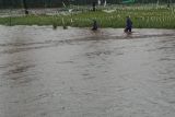 Banjir terjang empat desa di Bima