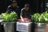  Pengunjung melihat instalasi pertanian budidaya ikan dalam ember atau Budikdamber yang dipajang di Pameran Teknologi Dan Hasil Pertanian Perkotaan di Balai Kota Malang, Jawa Timur, Senin (6/3/2023). Pameran tersebut diadakan sebagai upaya menarik minat masyarakat agar turut serta dalam menjaga ketahanan pangan dengan membudidayakan tanaman sayuran pada lahan di kawasan perkotaan yang terbatas. ANTARA Jatim/Ari Bowo Sucipto/zk 