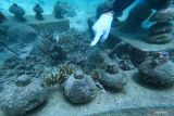 Pegiat lingkungan dari Yayasan Coral Oasis menunjukkan terumbu karang tumbuh yang ditanam sejak 2019 lalu dengan metode bioreeftek di Pantai Teupin Sirkui, Iboih, Kota Sabang, Aceh, Minggu (5/3/2023). Antara Aceh/Khalis Surry
