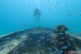 Pegiat lingkungan dari Yayasan Coral Oasis memantau terumbu karang yang ditanam di dalam bangkai perahu di Pantai Teupin Sirkui, Iboih, Kota Sabang, Aceh, Minggu (5/3/2023). Antara Aceh/Khalis Surry