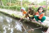 Mataram bangun kampung wisata budi daya ikan air tawar