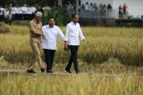 Gubernur Jateng dukung Indonesia lumbung pangan dunia